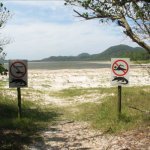 ZA_AL_St. LUCIA WETLANDS